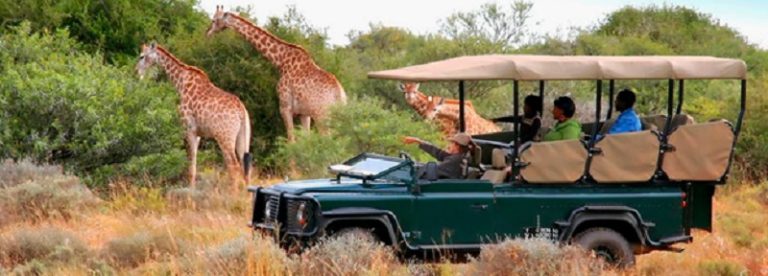 6 Wildlife Encounters Unique To Safari Holidays In Africa
